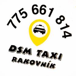 DSM Taxi Rakovník