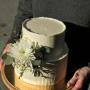 m CAKES | DORTOVNA