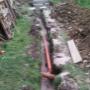 Musil a synové