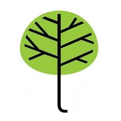 Rizikové kácení, arboristika Strom servis