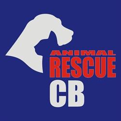 Animal Rescue CB - Odchytová služba a útulek