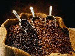 Prodejna CAFFE Carezza