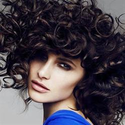 Salon Trend