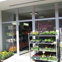 Květinářství Plantica - Světlá nad Sázavou