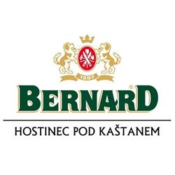 Hostinec Pod kastanem