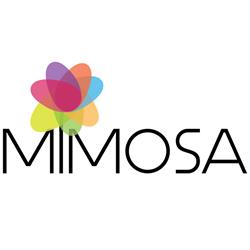 Mimosa květiny