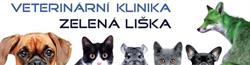 Veterinární Klinika