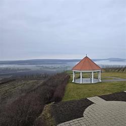 Moravská Vinotéka