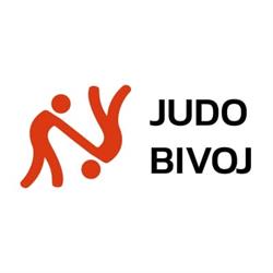 Judo Bivoj