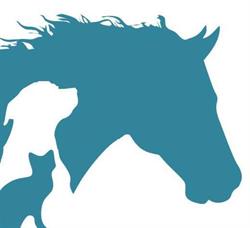 Veterinární Ordinace Herriovet s.r.o. - MVDr. Martin Ostárek
