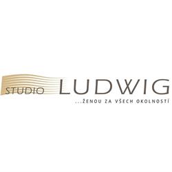 Studio Ludwig