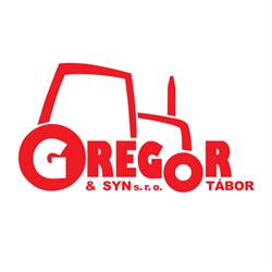 Gregor a syn