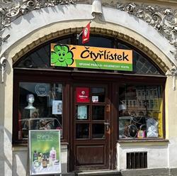 Čtyřlistek rumburk