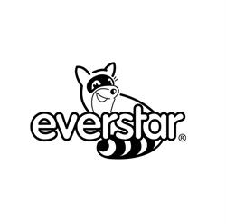 Everstar S.r.o.