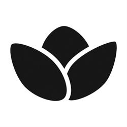 Black Lotus