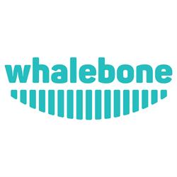 Whalebone