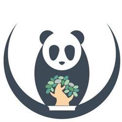 Bonsai Panda