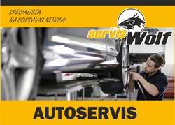 SERVIS WOLF