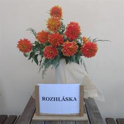 Zahradnictví Dahlia - Brzák Luděk