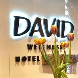 David Wellness Hotel