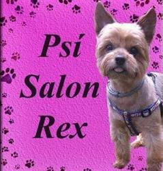 Psí Salon Rex