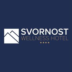 Wellness Hotel Svornost - Bazén v ceně ubytování