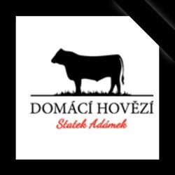 Statek Adámek