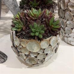 Flortrend