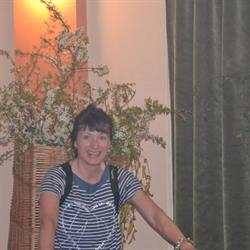 Poradna Petrklíč