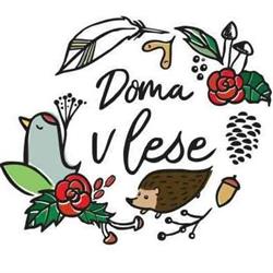 Doma v lese