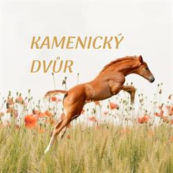 Kamenický Dvůr