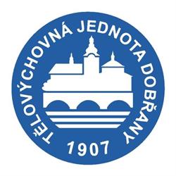 Tj Dobřany, Z.s.