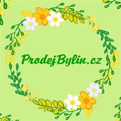 Prodejbylin