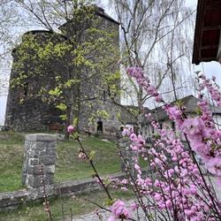 Hrad Týnec nad Sázavou
