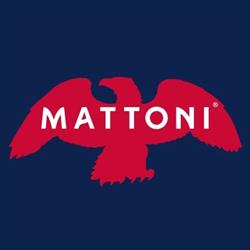 Mattoni 1873