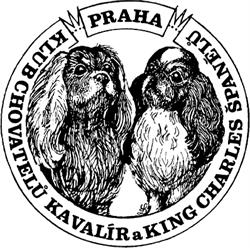 Klub chovatelů Kavalír a King Charles španělů - Praha
