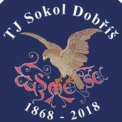 Tělocvičná jednota Sokol Dobříš