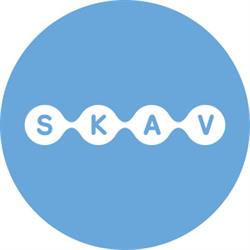 SKAV-STÁLÁ KONFERENCE ASOCIACÍ VE VZDĚLÁVÁNÍ