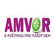Ambruzsová Květuše- AMVOR