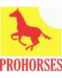 Jezdecký klub PROHORSES, z.s.