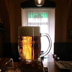 Restaurace U Podkovy