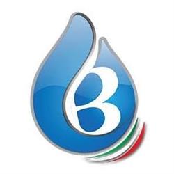 Bellinzoni