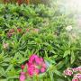 FLORCENTER, s.r.o.