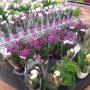 FLORCENTER, s.r.o.