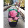 FLORCENTER, s.r.o.