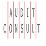 AUDIT CONSULT, a.s.