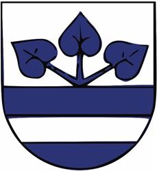 Městská knihovna Rychvald