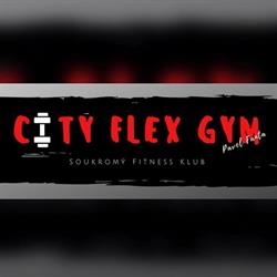 City Flex Gym - Pavel Fanta