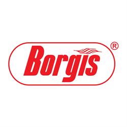 Borgis