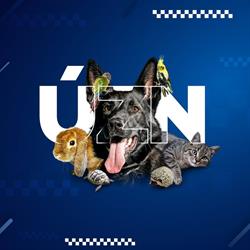 Útulek pro zvířata v nouzi Plzeň - Městská policie Plzeň